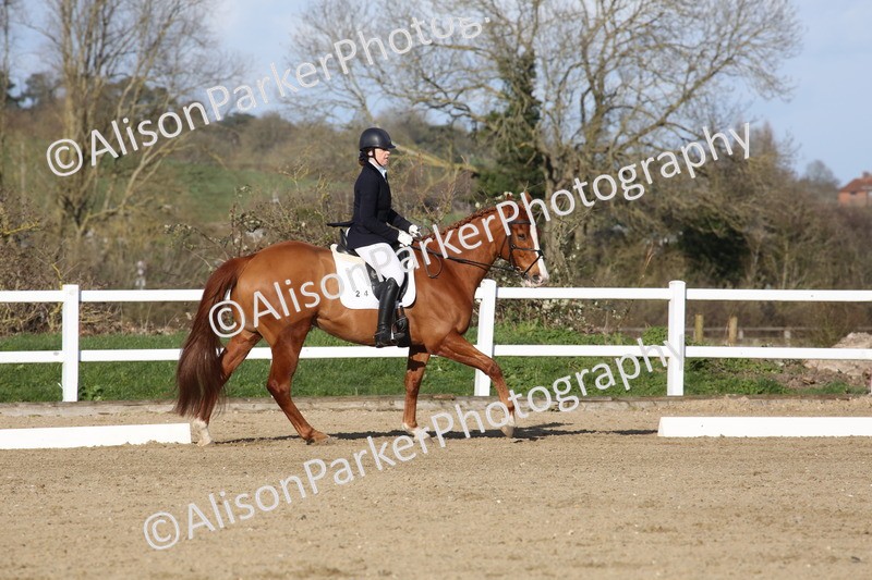 20260314-6063 - CT5 - Novice 2