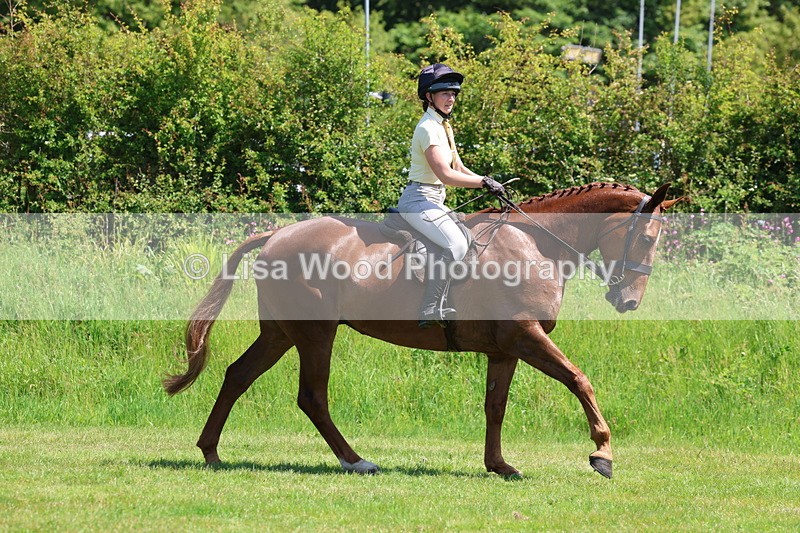 3E7A8058 - Working Hunter Championship