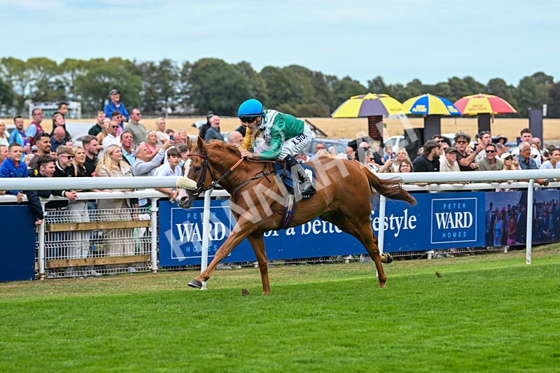 300825-Race 2-Shagraan-0688 - Race 2