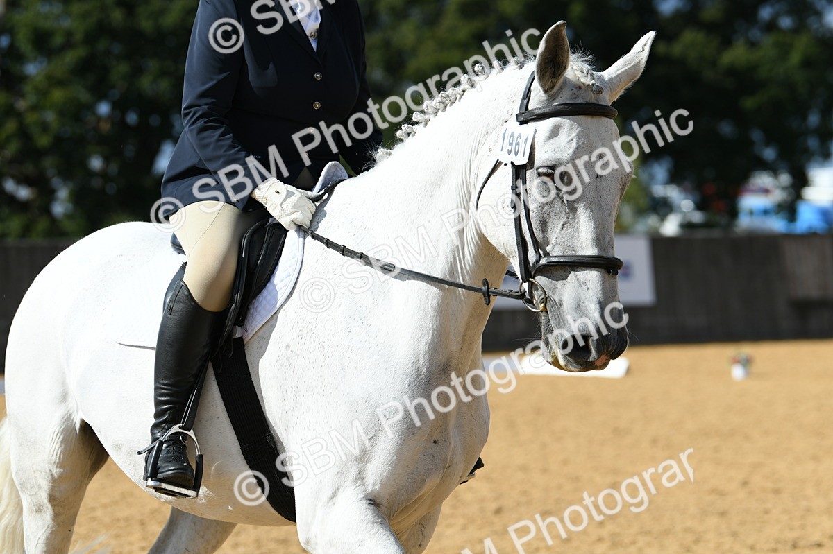 SBM_07483 - D15 Small Tour Championship Novice 24