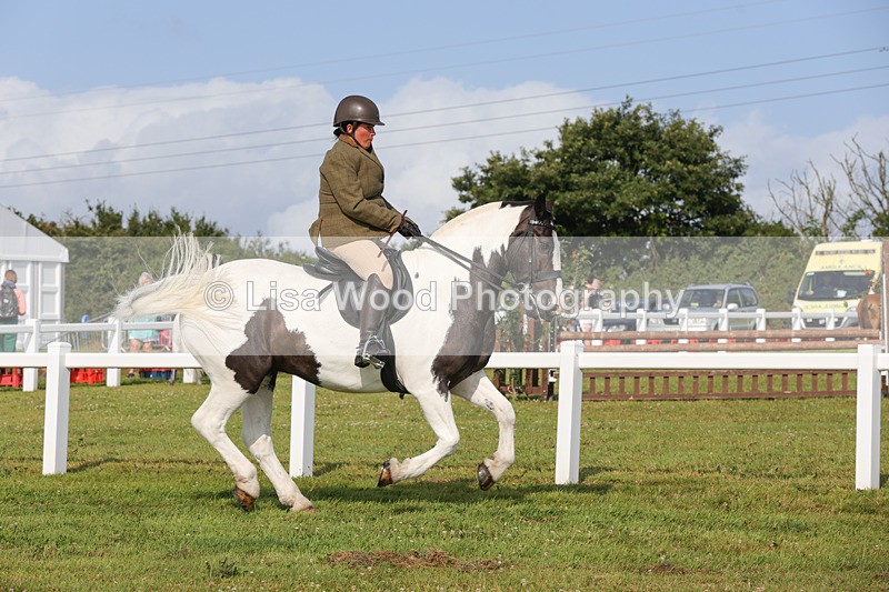 1X9A3229 - Class 28: Ridden Native/Trad Coloured Pony