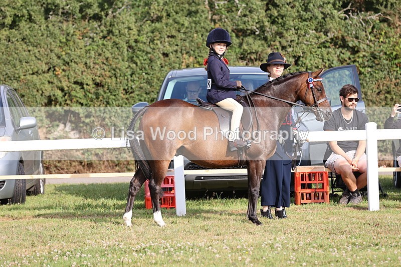 JPP_0315 - Class 14: Cornish Combination Leading Rein