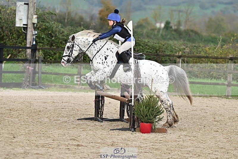241110-133342-00872 - 60-65cm Arena Eventing