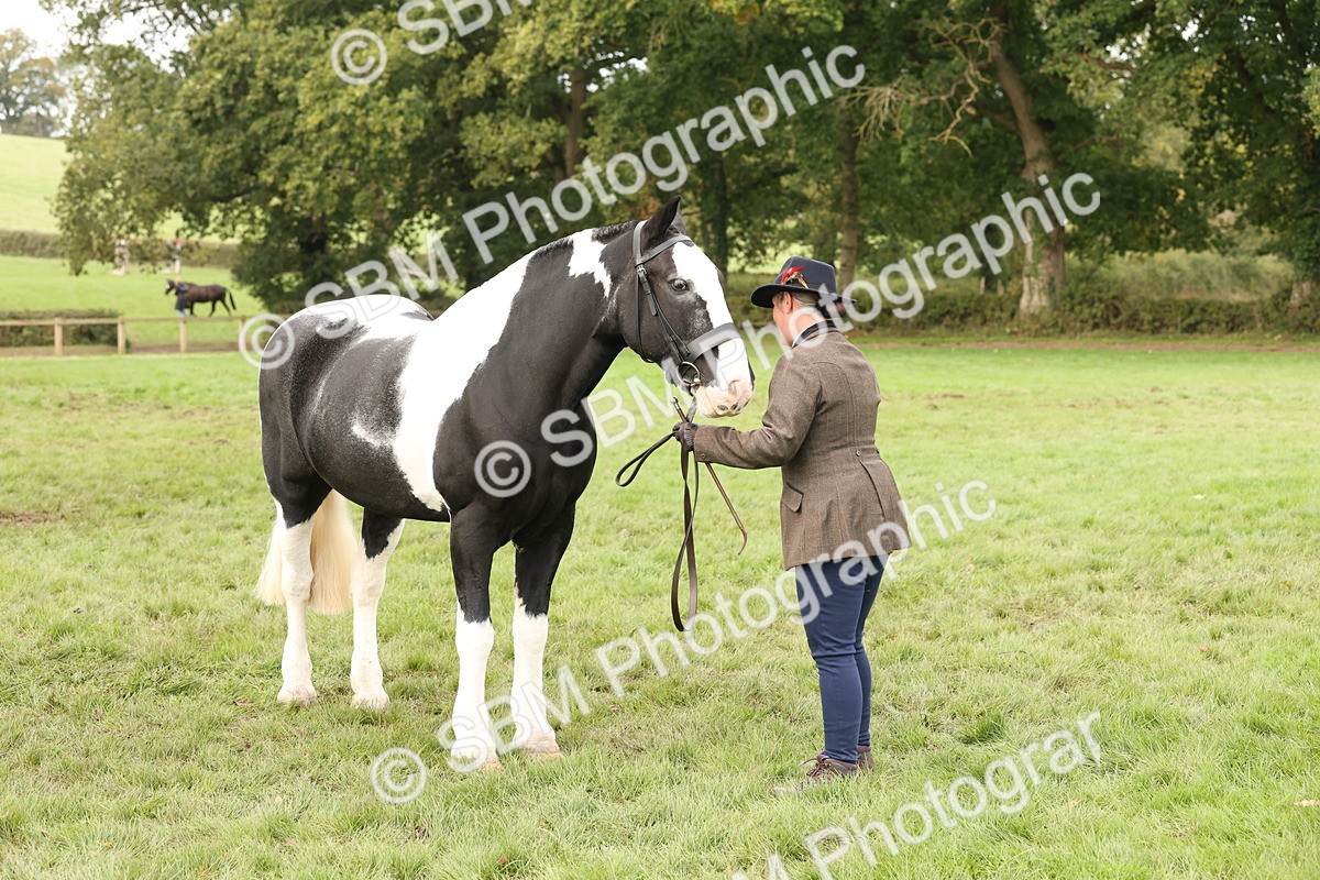 SBM_57508 - S56 - Show Cob in Hand