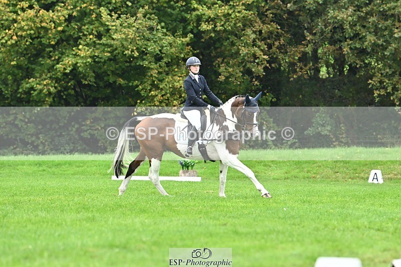 241024-135907-04267 - 331-Amber.Williams-COSMIC.MIKADO