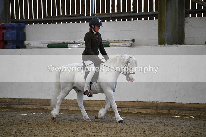 WJ5_5957 - Class 9 Ridden Veteran