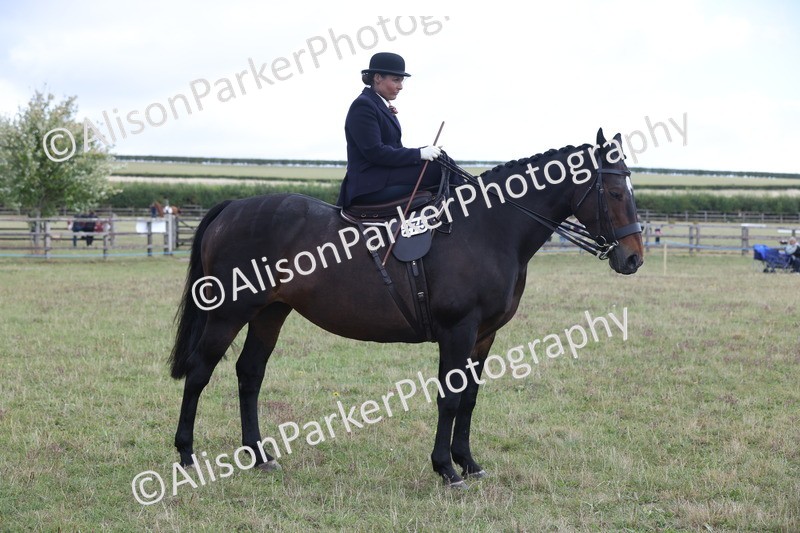 20250831-1185 - Class 15 - Ridden Veteran