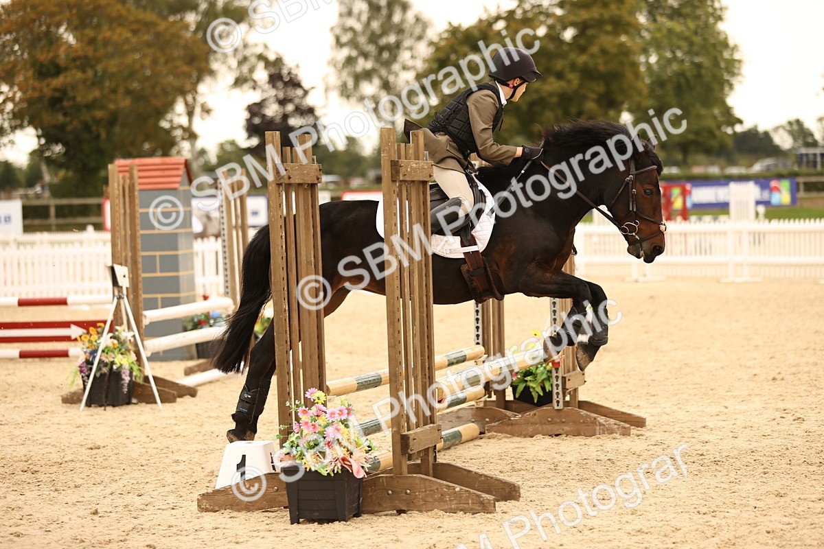 SBM_74203 - J14 - Junior Pony 65cm Championship