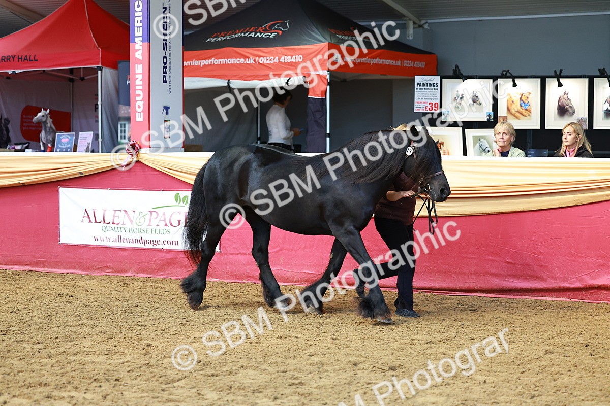 SBM_18425 - Class 903 - Sup Final - IH Pre Vet