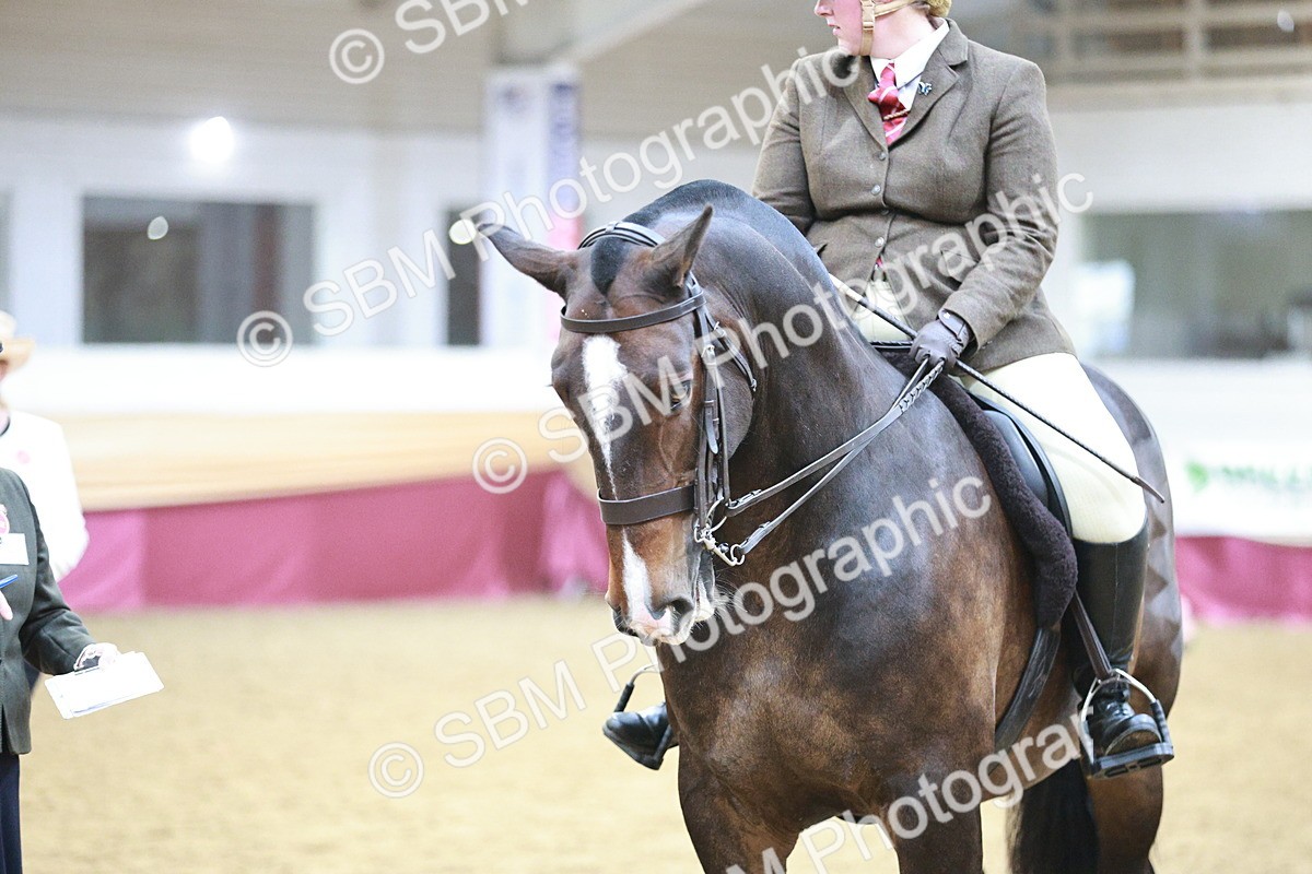 SBM_08851 - Class 12R - Regional Ridden Pre-Vet