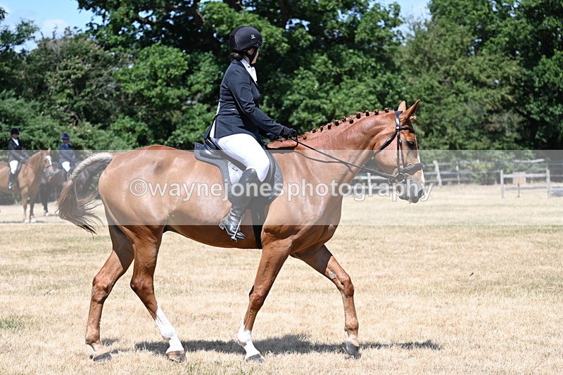 WJ7_2920 - Class 7 Riding Club Show Horse