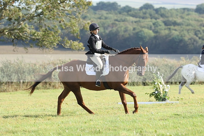 JPP_8049 - Class 2A: Trekenning Open: Dressage