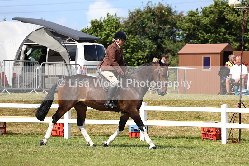 3E7A9955 - Class 5: Rising Star Lightweight/Heavyweight Cobs