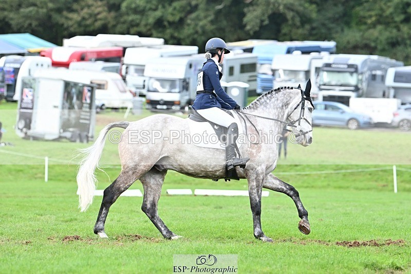 231020-154955-11575 - 689-SHANNONDALE.GOLD.RUSH-Eliza.Bradford-DR