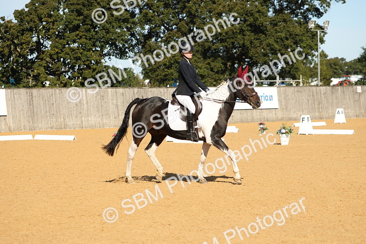 SBM_18738 - D10 - Small Tour Championship - Prelim 2