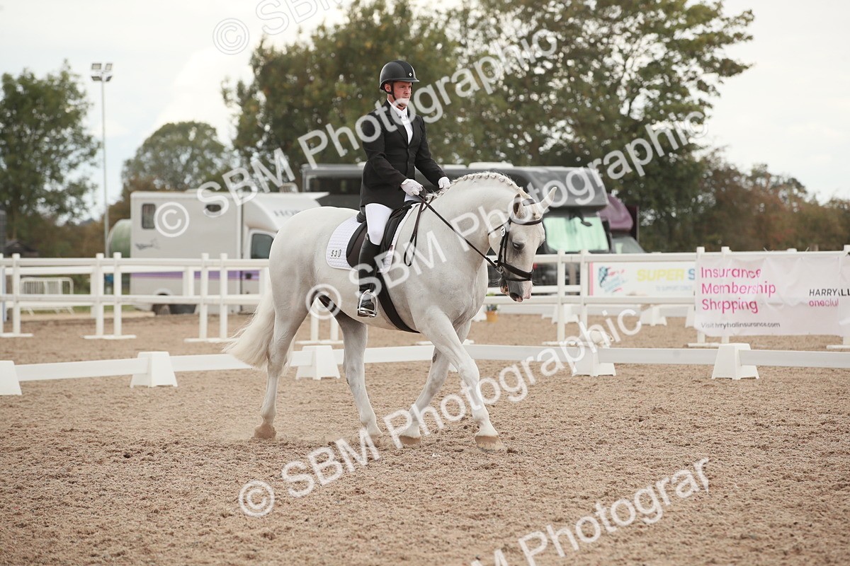 SBM_06181 - Class 33 - Elementary 1