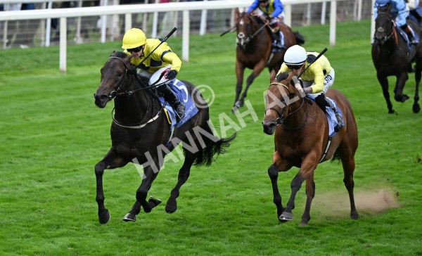 220825-106 Lifeplan - Race 3 3.00pm Al Basti Equiworld Dubai Gimcrack Stakes