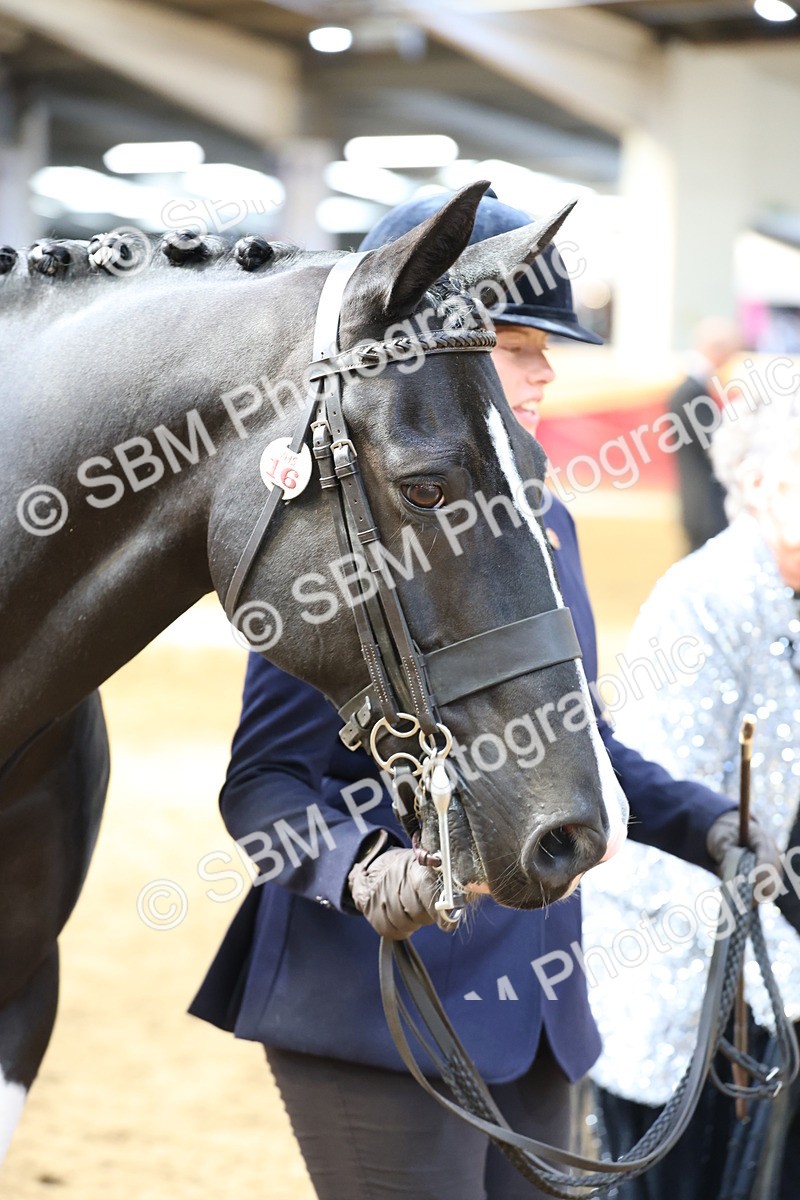 SBM_23389 - Class 903 - Supreme Final - IH Pre Vet