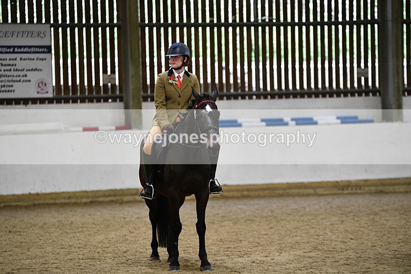 WJ5_6426 - Class 9 Ridden Veteran