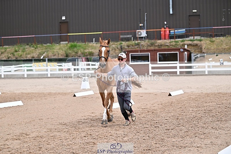 250716-133116-00557 - Trot Up 1.30 to 2.30