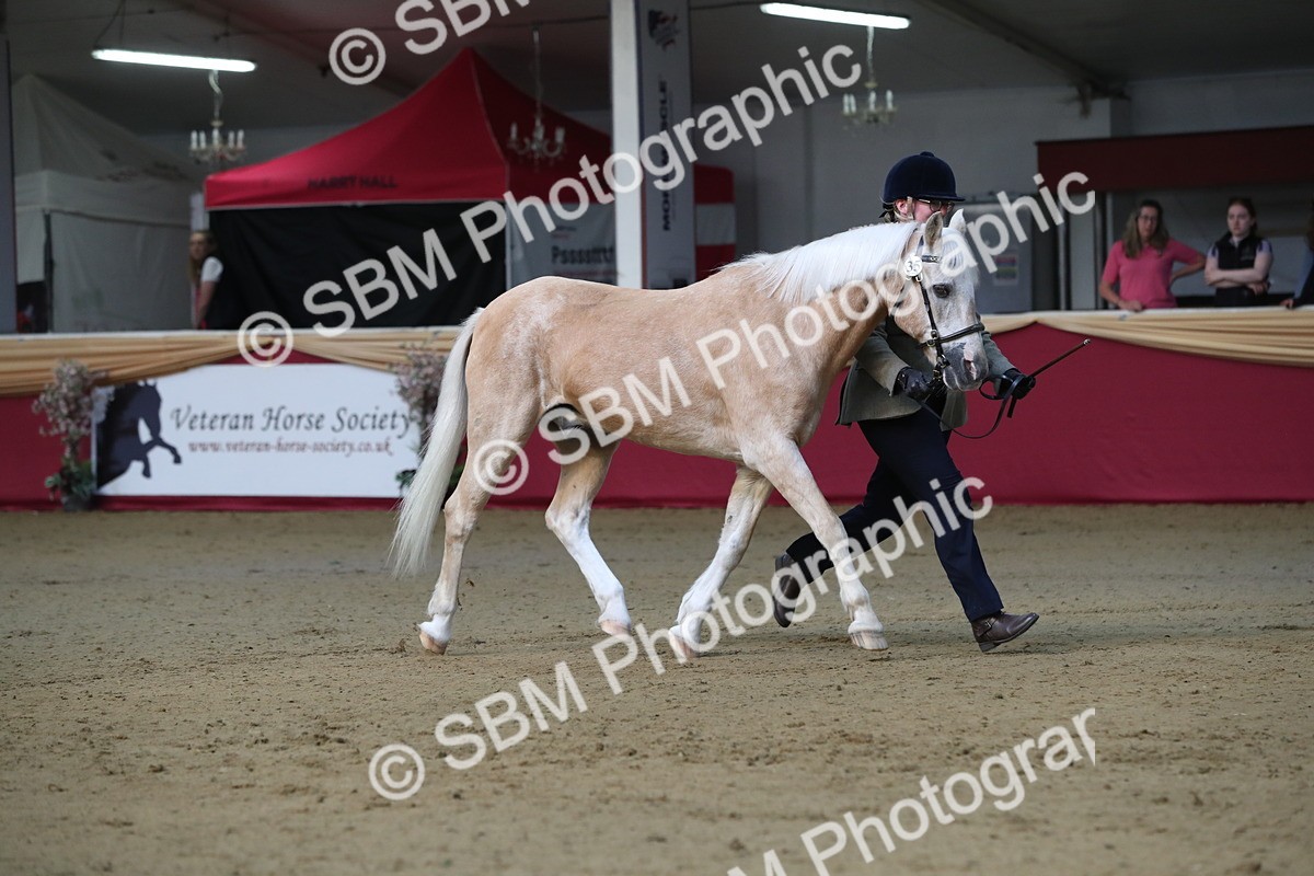 SBM_00302 - Class 1a - Area IH Diamond
