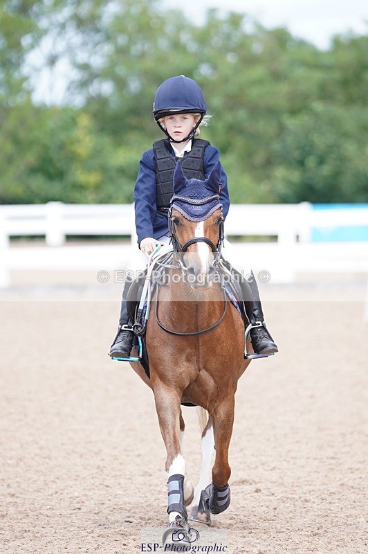 240809A-114158-00808 - Showjumping Competition