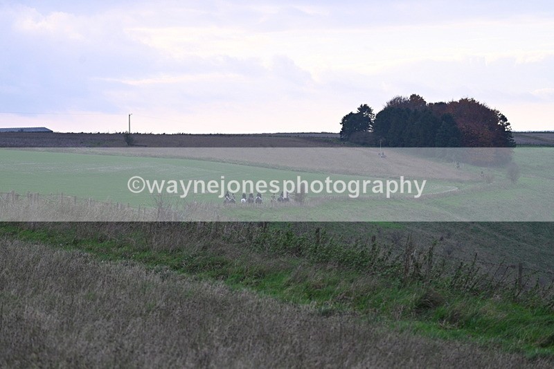 WJ7_0032 - Camera 1 & Last fence