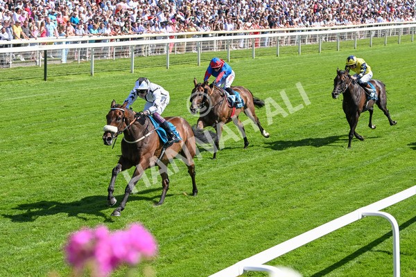 120725-Race 4-Al Qareem-5793 - Race 4 3.45pm John Smith's Silver Cup Stakes
