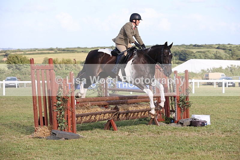 JPP_3453 - Class 22: Working Hunter 90cm