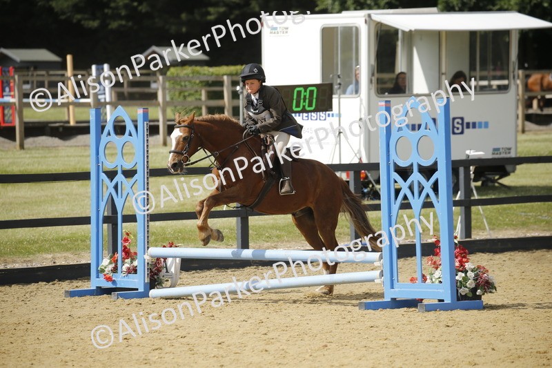 20250622-3658 - 50cm