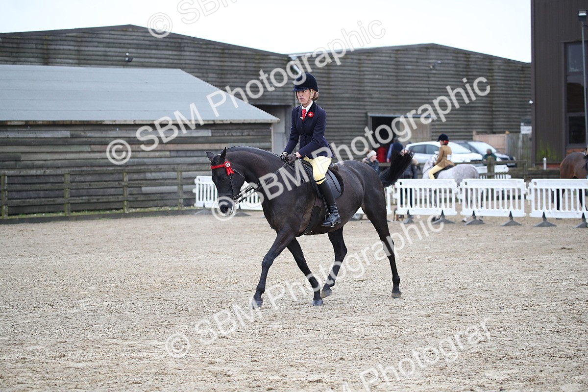 SBM_004718 - Class 5-9 - NPS In Hand-Show Hunter-Intermediate Ridden Inc Ridden Championship