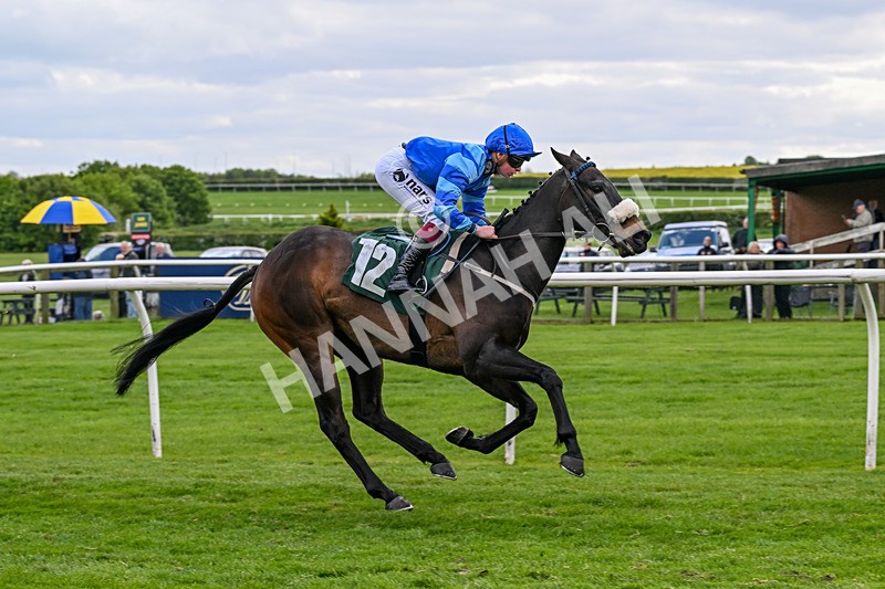 110526-Race 1-Filey Beach-0299 - Race 1 2.30pm Racing Welfare Reminiscence Day Apprentice Handicap