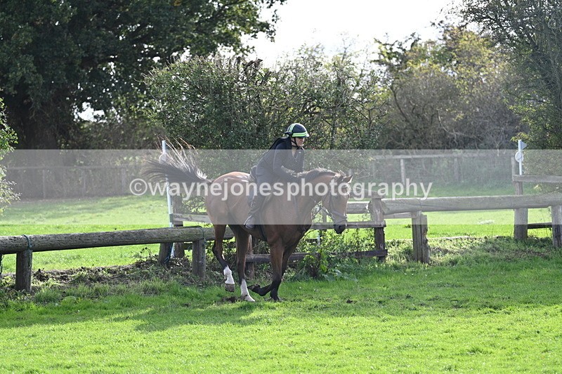 WJ7_0974 - Time 14:27 to 15:11