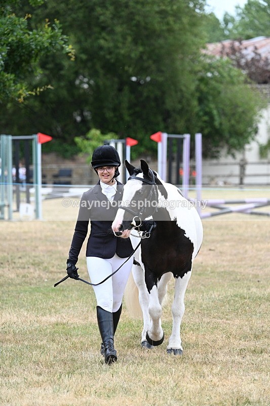 WJ7_1421 - Class 4 Prettiest Mare up to 14.2hh in hand