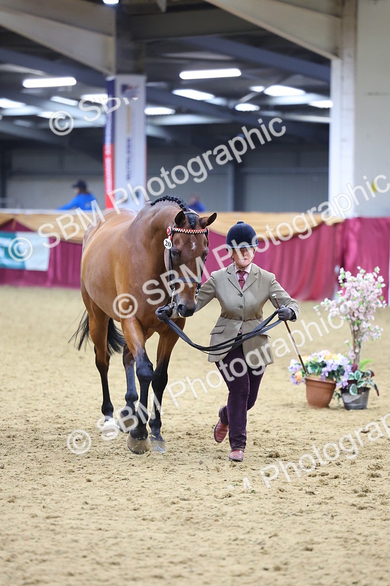 SBM_20843 - Class 902 - Supreme Final IH Veteran