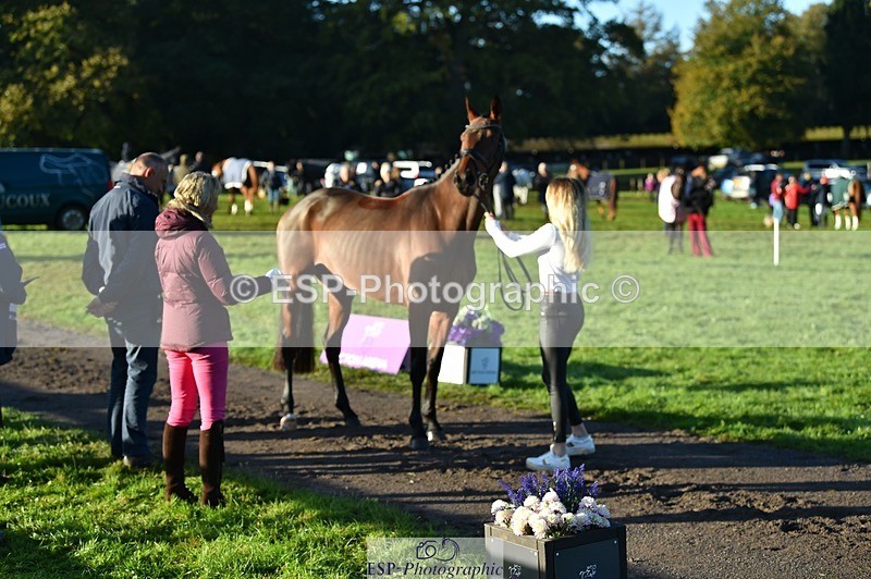 231022-092008-21709 - 665-OPPOSITION.FIDELITY-Izzi.Kirk-TrotUp+SJ