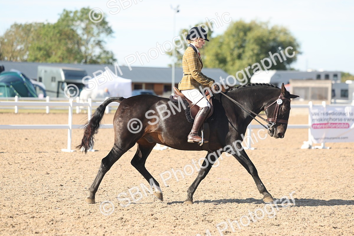SBM_12327 - Class 304 - Ridden part Bred Horse Pony