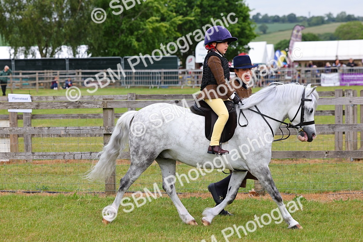 SBM_08098 - Class 42-43 - LIHS BSPS Heritage Working Sports Pony