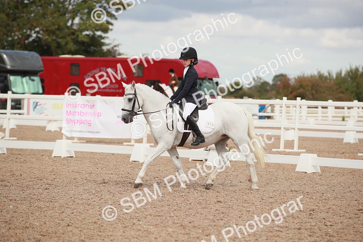 SBM_03963 - Class 31 - Prelim 1