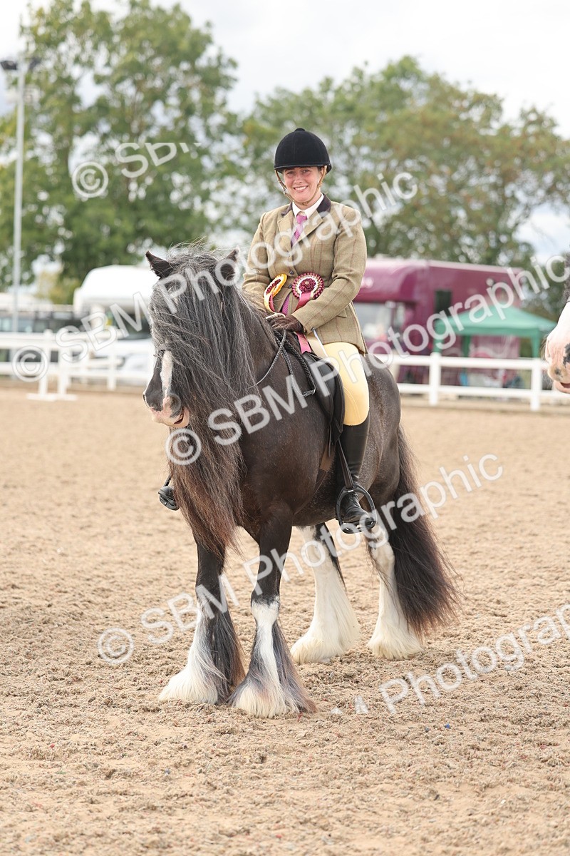 SBM_18083 - Class 314 - Family Horse Pony