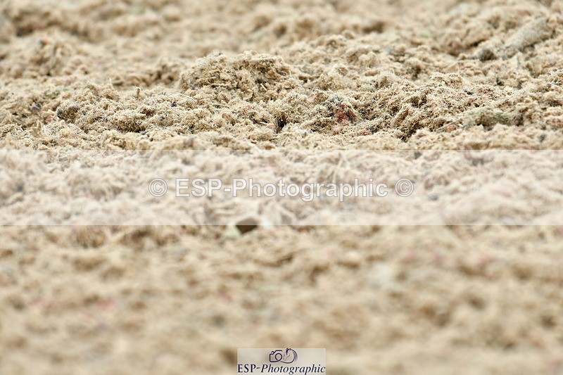 230701A-115606-05344 - Cls 5 Novice 37A