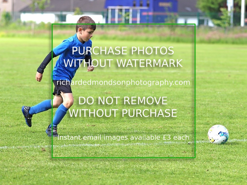 IMG_3965 - Soccer Bees Under 7 and Under 8
