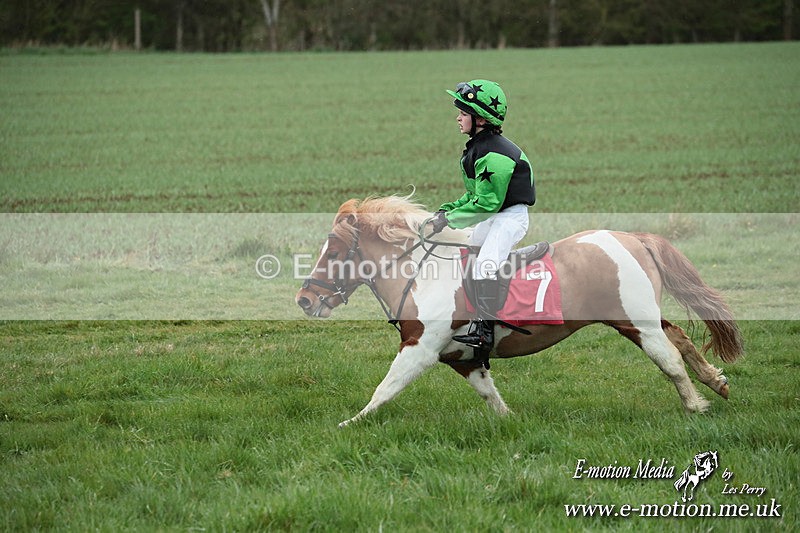 SHETPR 210425 222 - Shetland Ponies Paxford Races 21/04/25