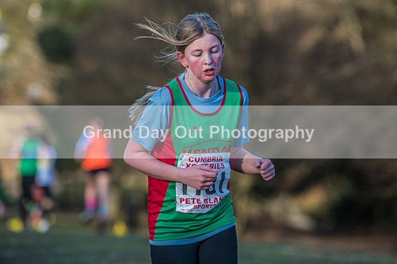 Cumbria XC-225 - Cumbria Cross Country Championships (Junior & Senior Races) Saturday 3rd January 2026