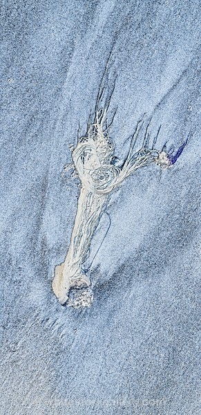  - The Sand Gallery