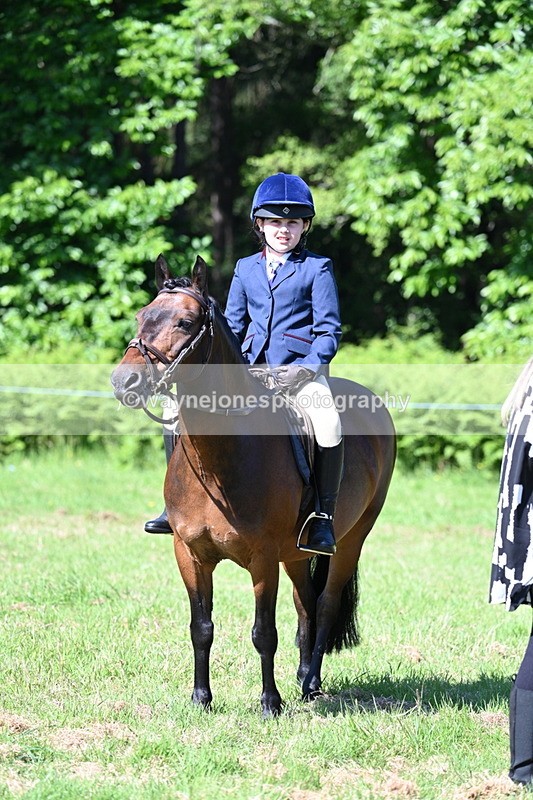 WJ7_0420 - Class 8 First Rally Pony