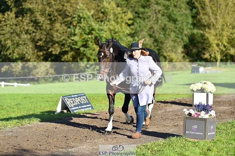 231022-100116-22184 - 475-ANDY.MAC-Hannah.COLMER-TrotUp+SJ