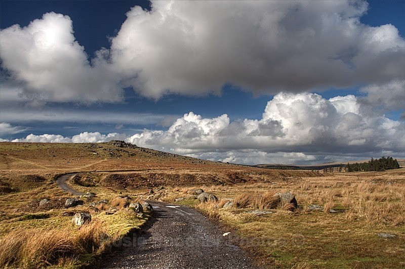 Dartmoor (indentify) - Dartmoor