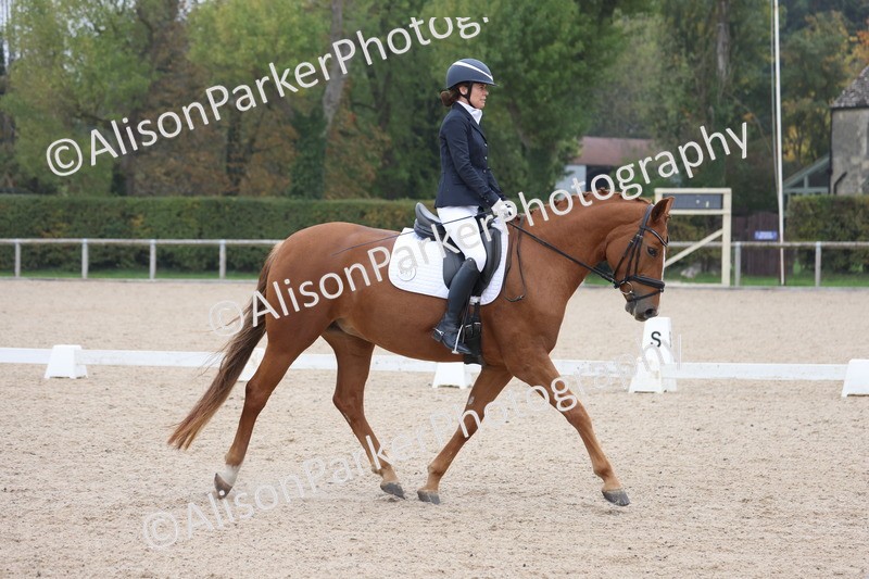 20251012-0643 - Class 5 - Elementary 5