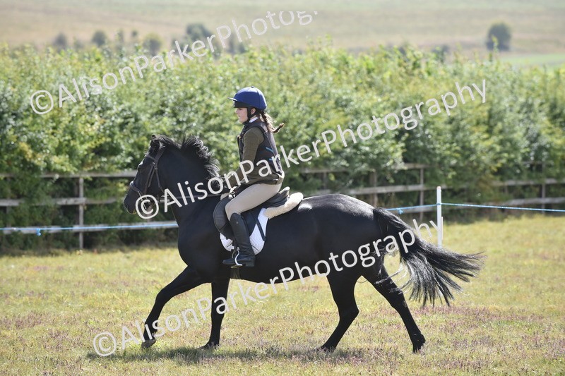 20250831-3986 - Class 12 - Working Hunter Pony 14.2hh and Under
